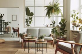 Erről szólt a Lounge Live második epizódja